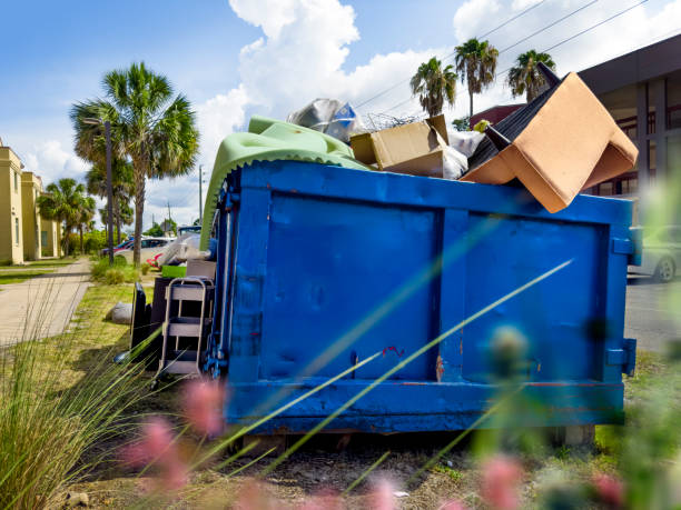 Best Yard Cleanup Services  in North Mankato, MN